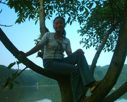 2006  (59)